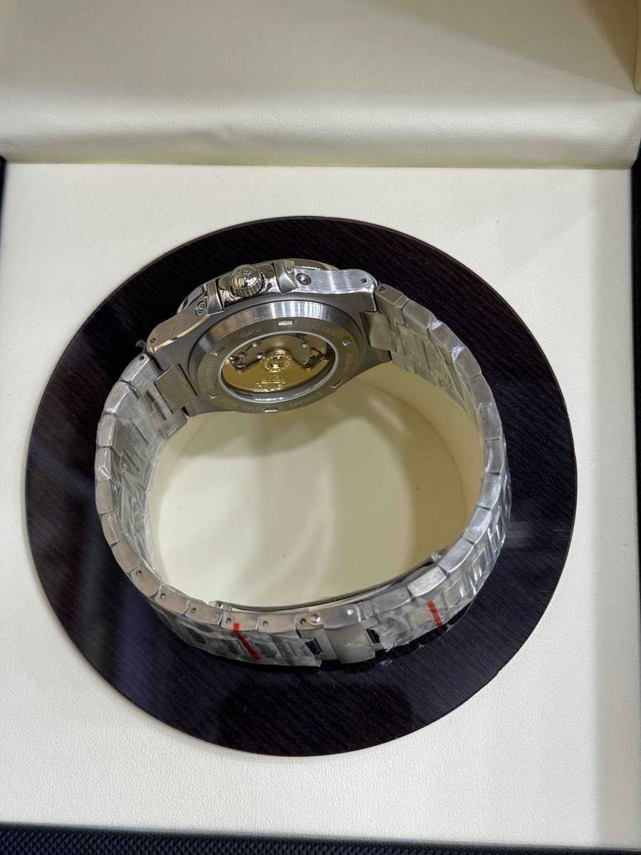 PP -Nautilus - AAA Quality - Image 2